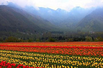 Patnitop - Srinagar